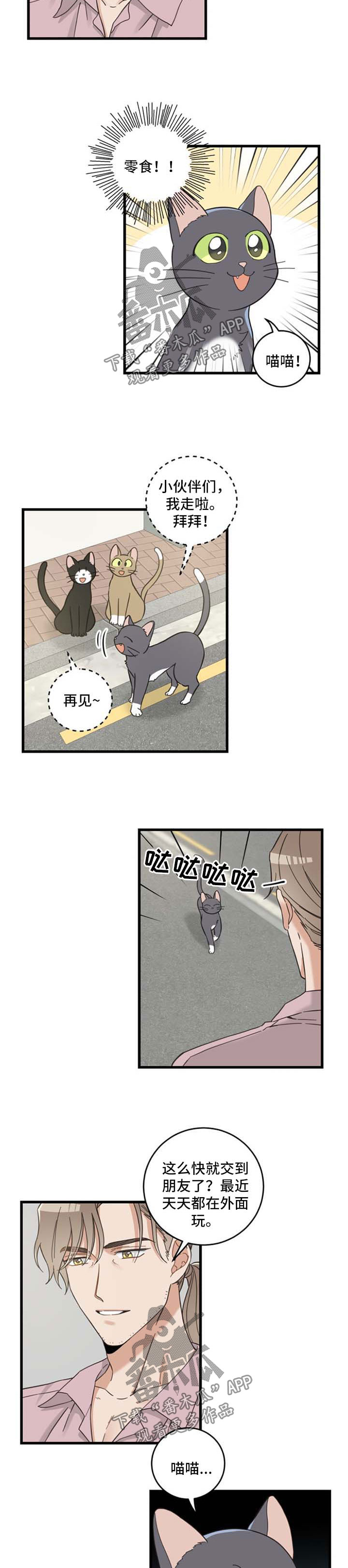 亲爱的喵君漫画,第94章：忧愁2图