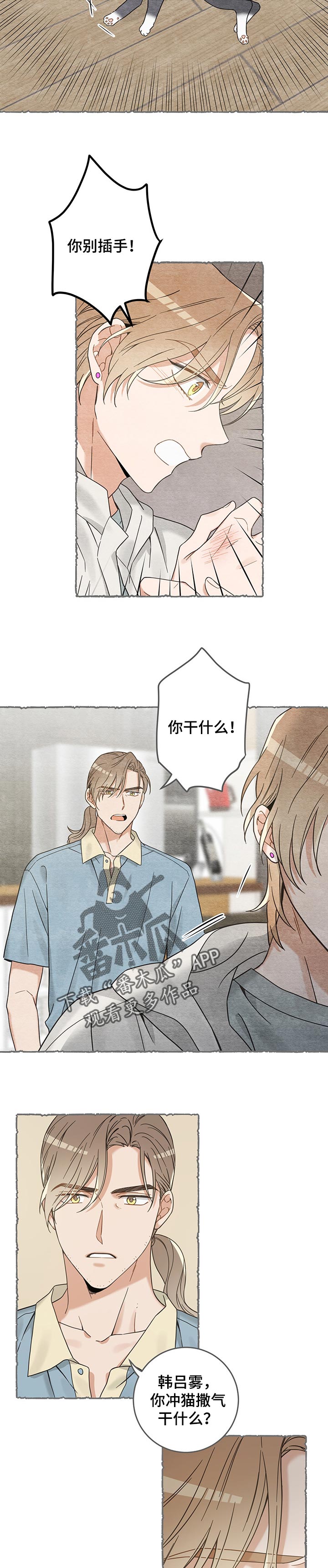 亲爱的喵君免费漫画在线漫画,第102章：撒气2图