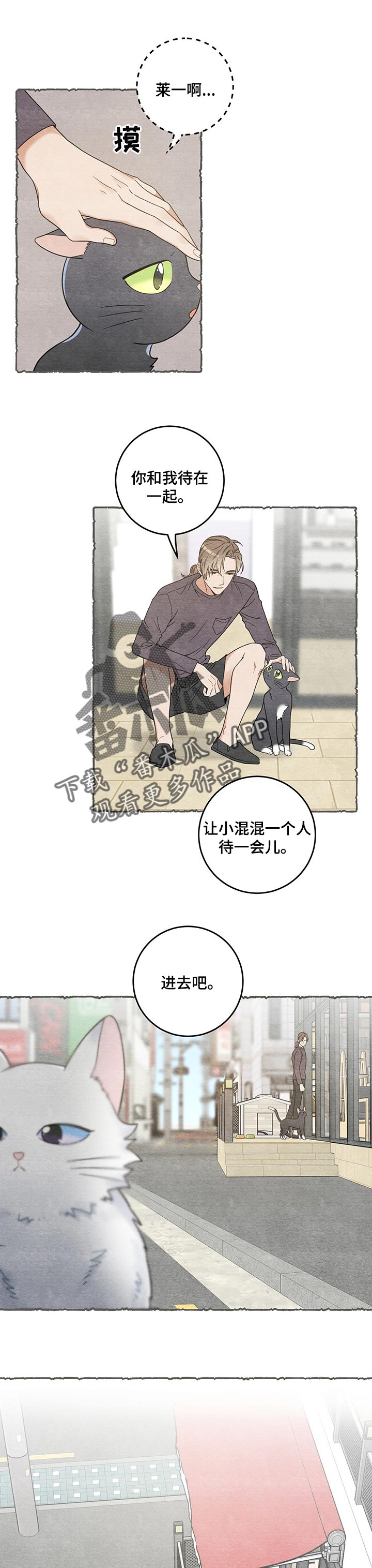 亲爱的喵君免费漫画在线漫画,第104章：失踪了2图