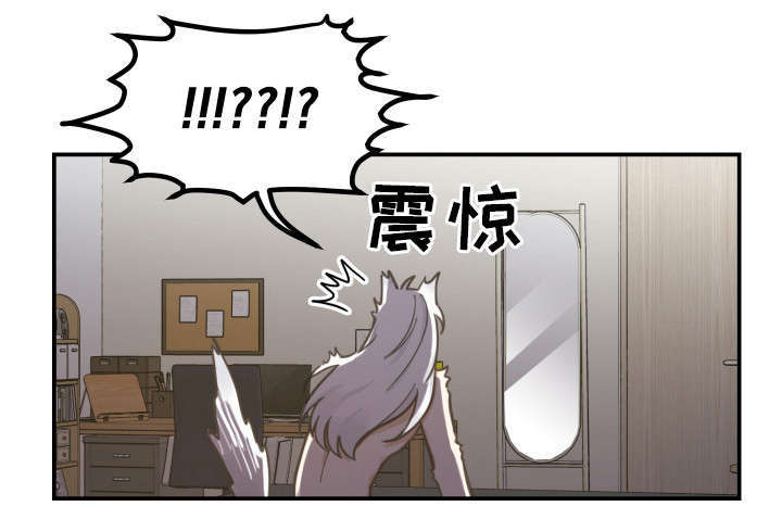 亲爱的喵君免费漫画在线漫画,第3章：梦1图