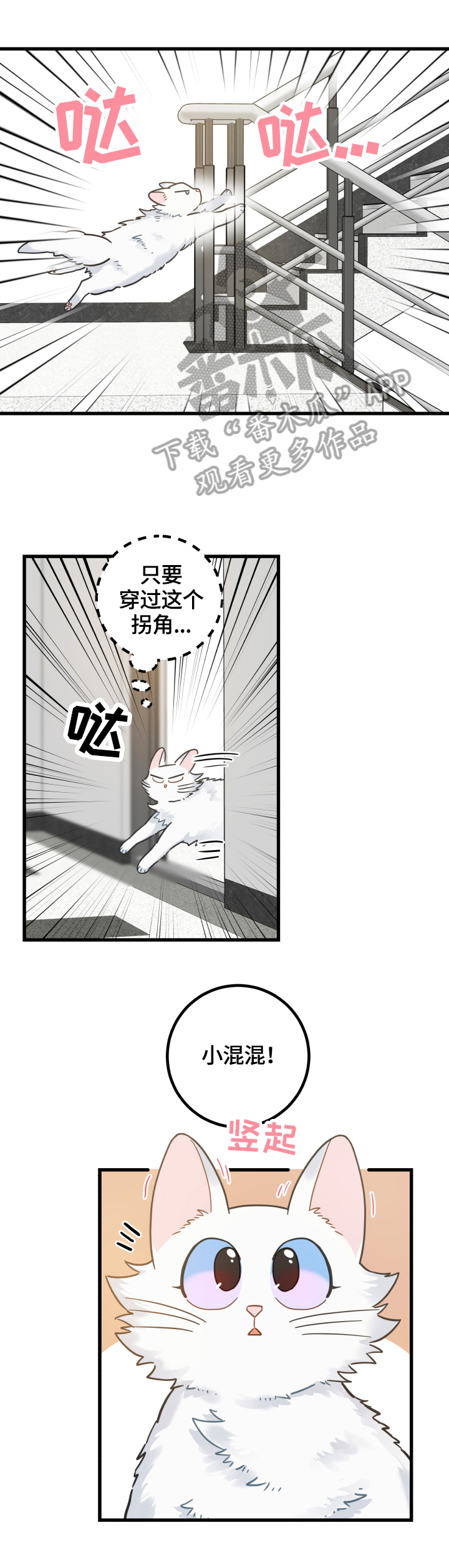 亲爱的喵君免费漫画在线漫画,第65章：忍不了1图