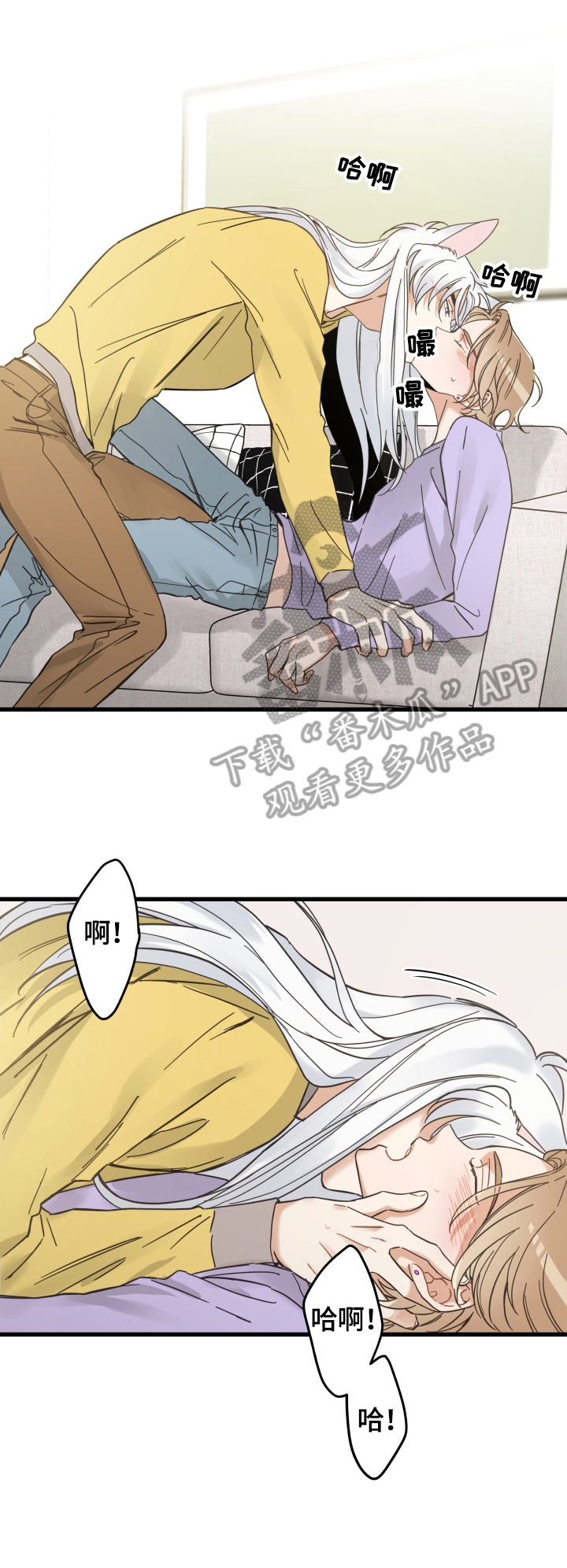 亲爱的喵君免费漫画在线漫画,第71章：原谅1图