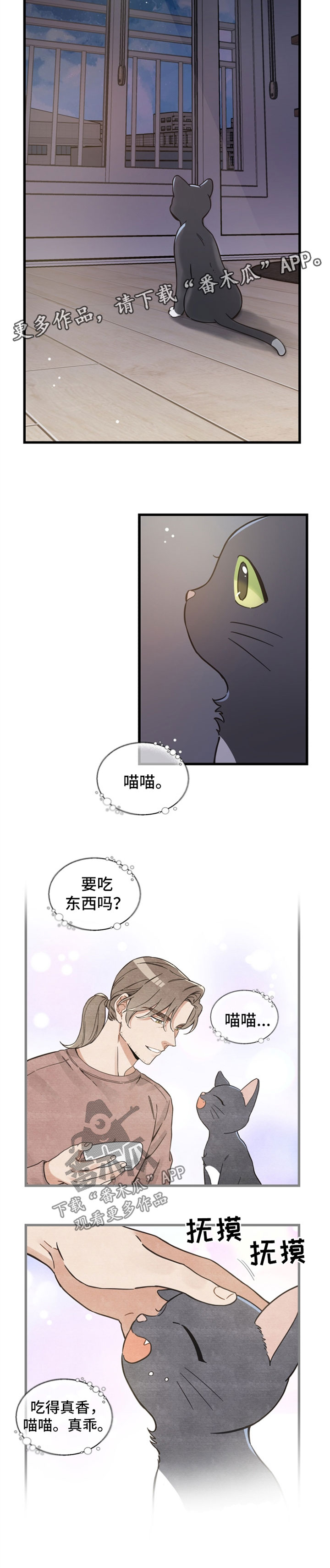 亲爱的喵君免费漫画在线漫画,第82章：想要回家2图