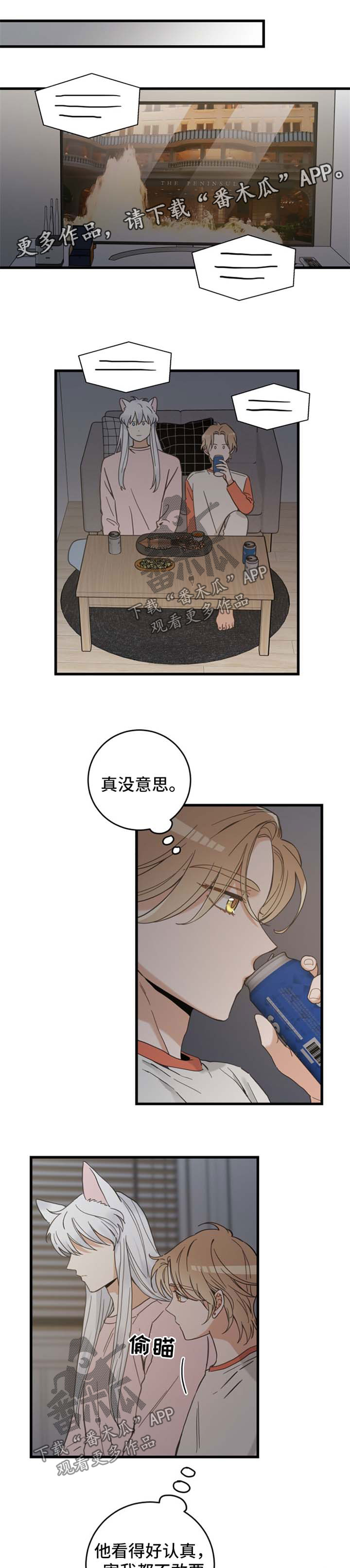 亲爱的喵君免费漫画在线漫画,第75章：我们聊聊1图