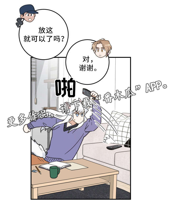亲爱的喵君免费漫画在线漫画,第11章：钻箱子1图