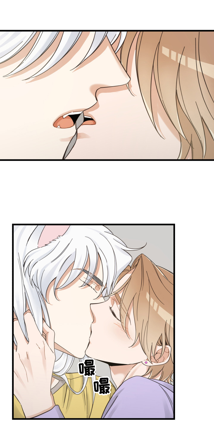 亲爱的喵君免费漫画在线漫画,第71章：原谅2图