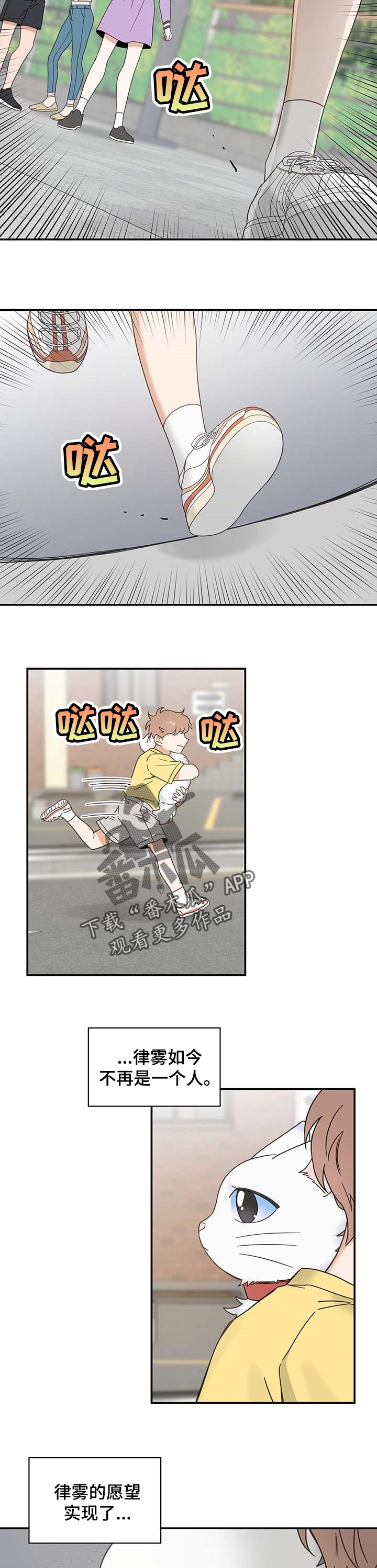 亲爱的喵君免费漫画在线漫画,第111章：重逢1图