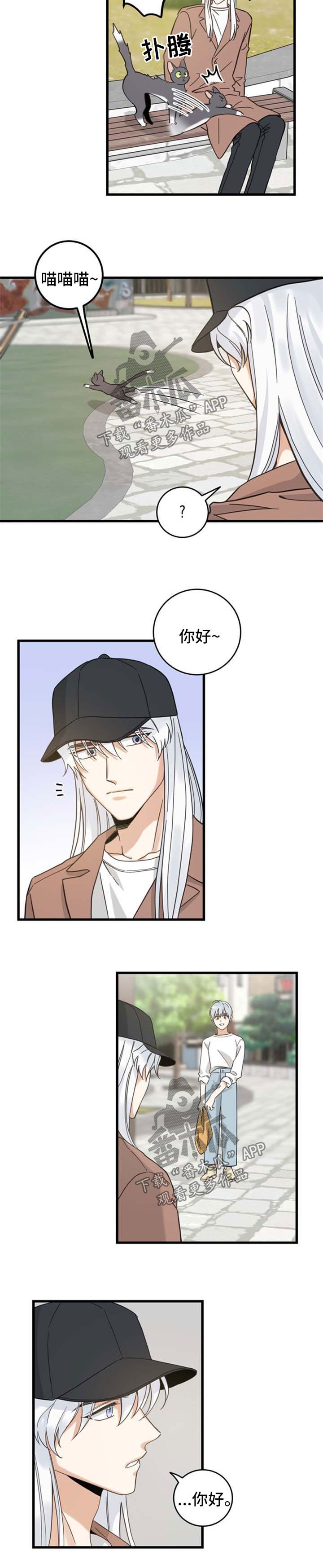 亲爱的喵君免费漫画在线漫画,第91章：偶遇2图
