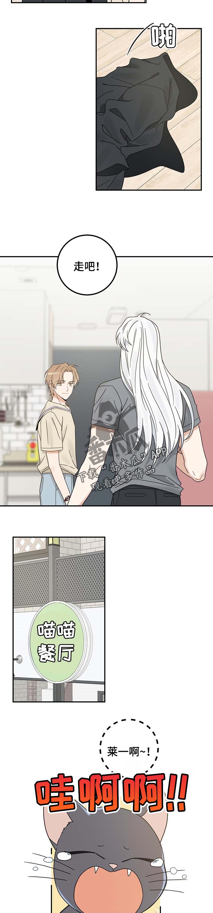 亲爱的喵君免费漫画在线漫画,第116章：静待观察1图