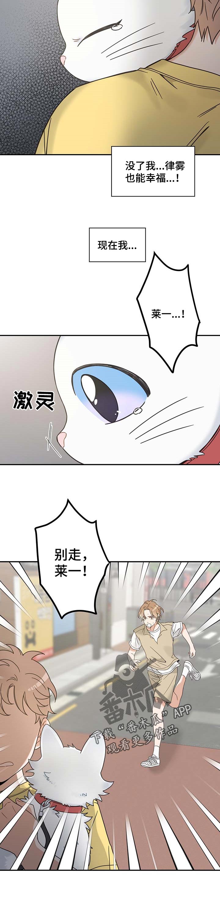 亲爱的喵君免费漫画在线漫画,第111章：重逢2图