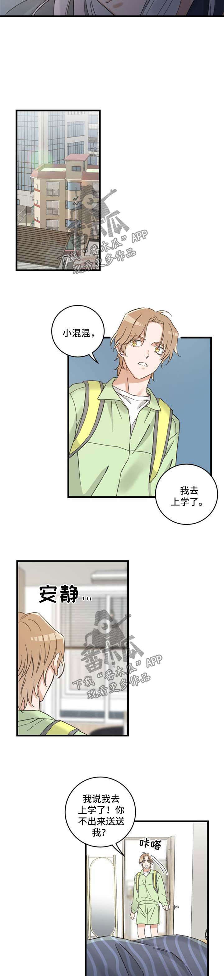 亲爱的喵君免费漫画在线漫画,第96章：闹别扭1图
