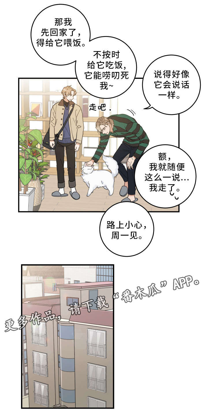 亲爱的喵君免费漫画在线漫画,第10章：负责到底2图