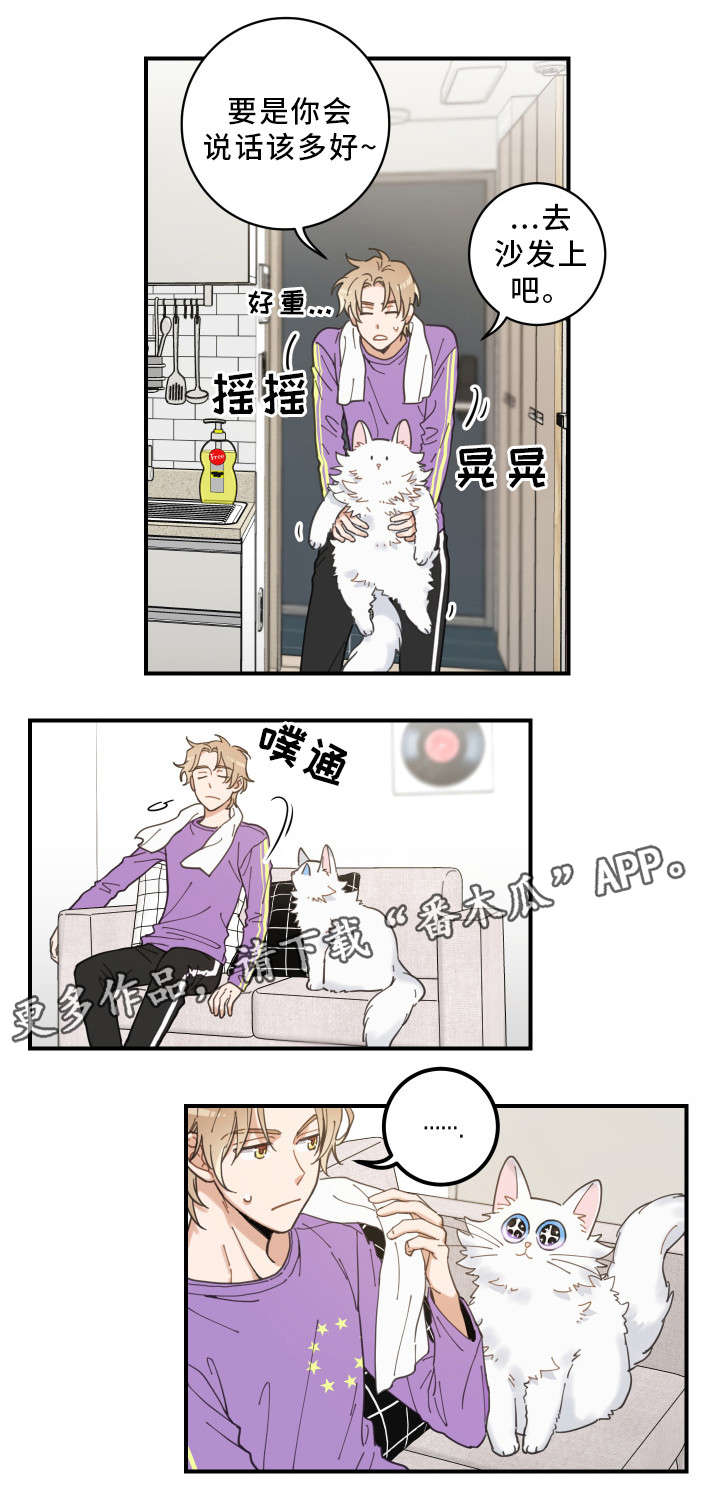 亲爱的喵君免费漫画在线漫画,第4章：我要呆在这2图