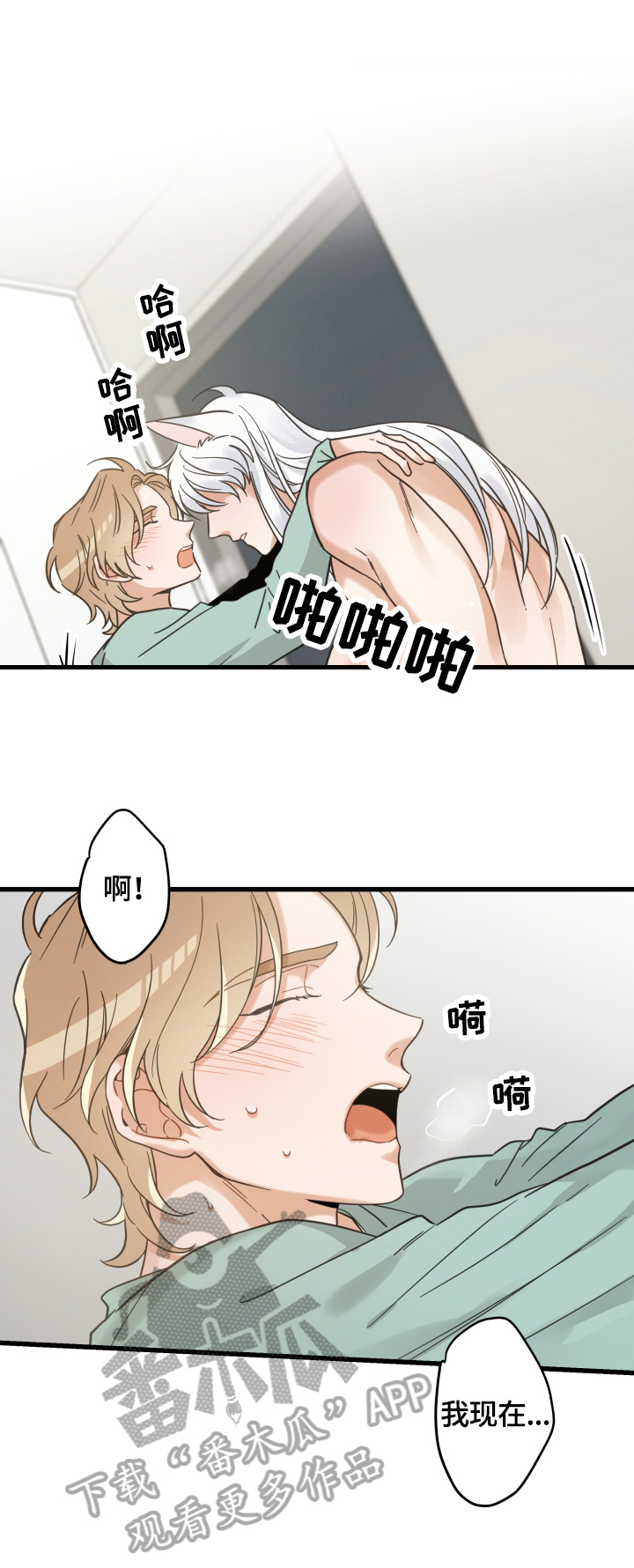 亲爱的喵君免费漫画在线漫画,第66章：回忆2图