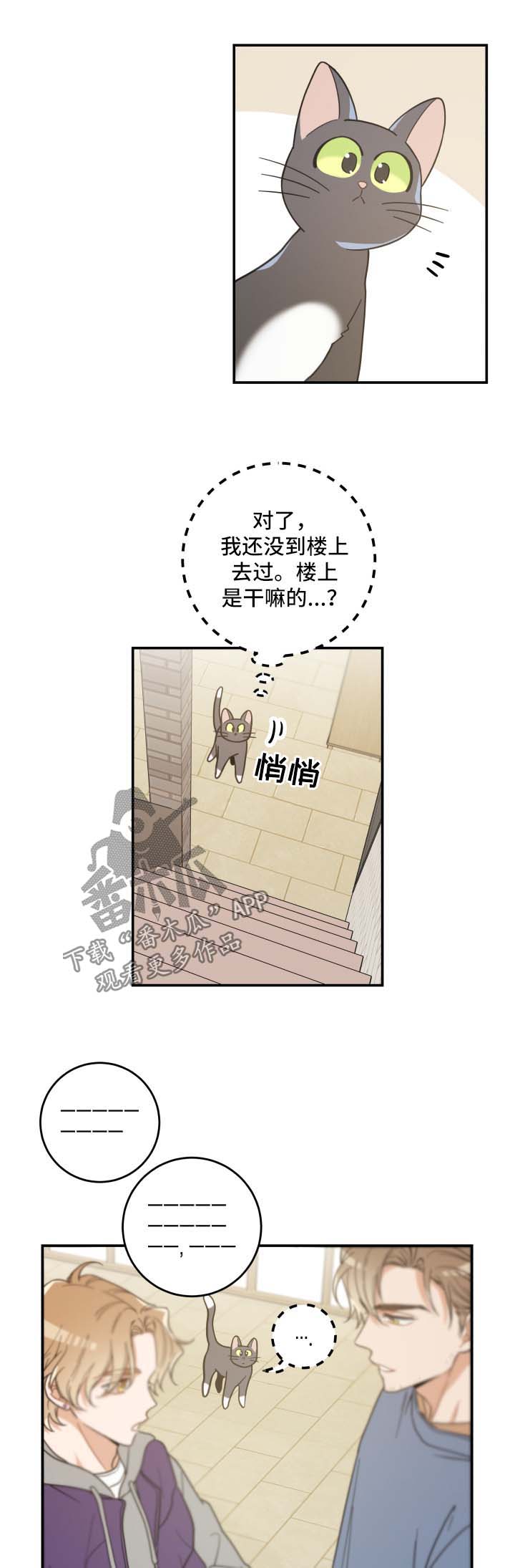 电视剧亲爱的喵先生剧情介绍漫画,第44章：快乐生活2图