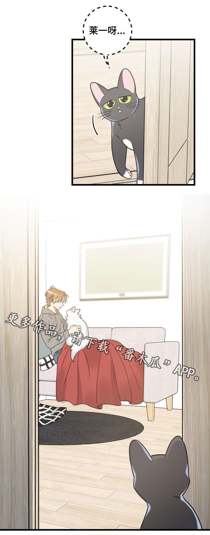 亲爱的喵君免费漫画在线漫画,第40章：决心2图