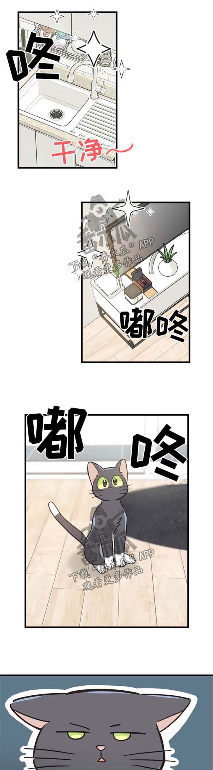 亲爱的喵君免费漫画在线漫画,第81章：做客1图