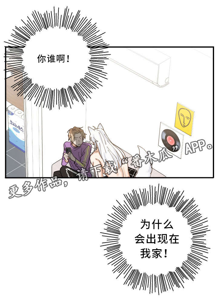 亲爱的喵君免费漫画在线漫画,第5章：推开2图