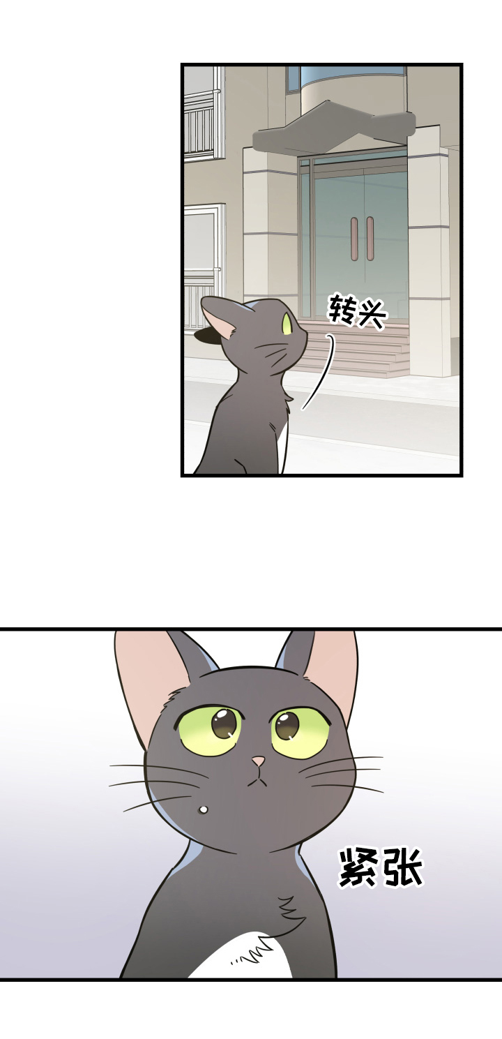 亲爱的喵君免费漫画在线漫画,第70章：安慰1图