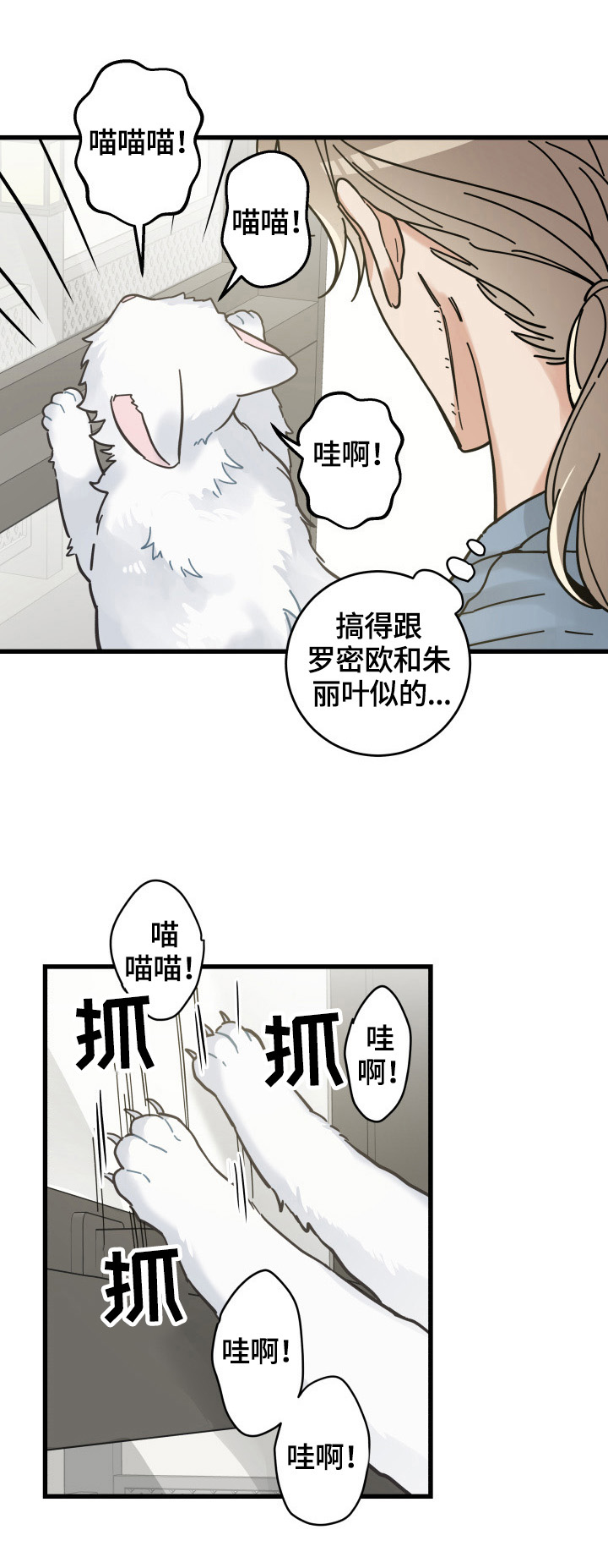 亲爱的喵君免费漫画在线漫画,第62章：拒绝2图