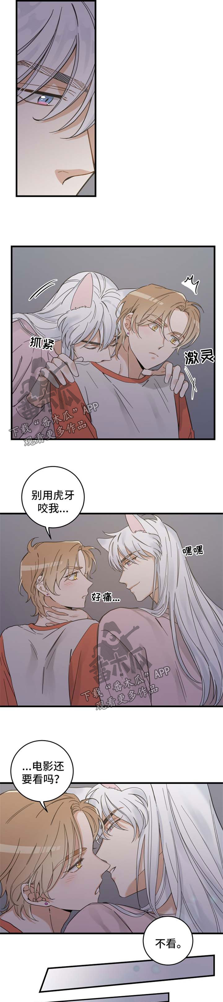 亲爱的喵君免费漫画在线漫画,第75章：我们聊聊1图