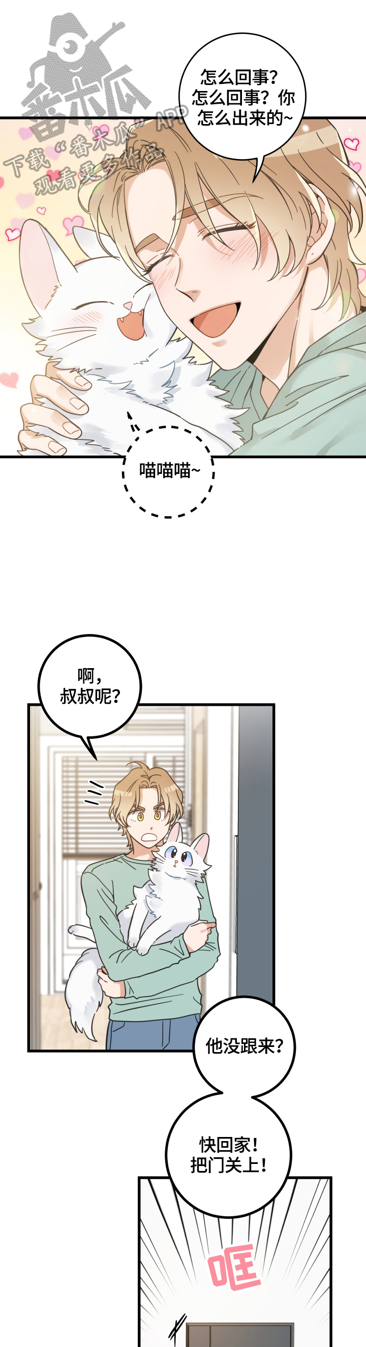 亲爱的喵君免费漫画在线漫画,第65章：忍不了2图
