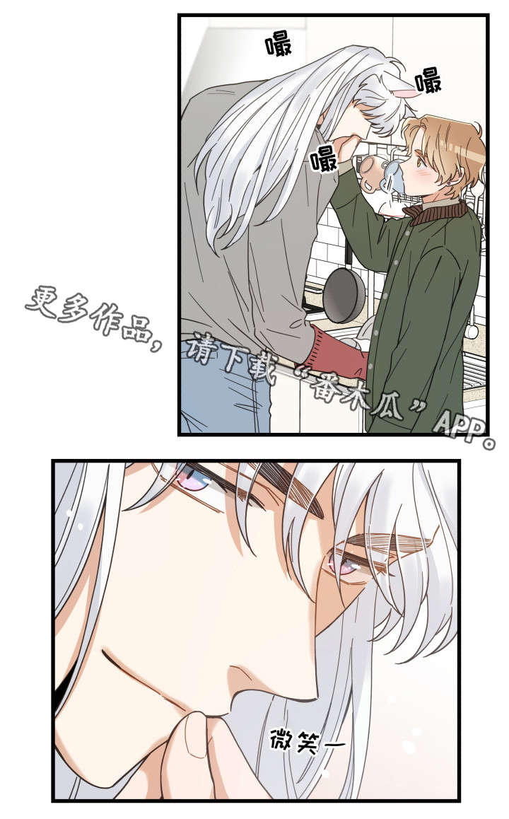 亲爱的喵君漫画,第31章：黑猫1图