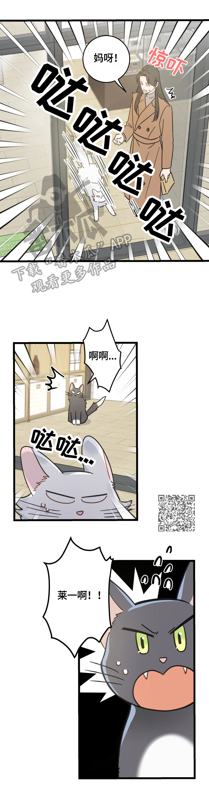 亲爱的喵君免费漫画在线漫画,第64章：逃走2图