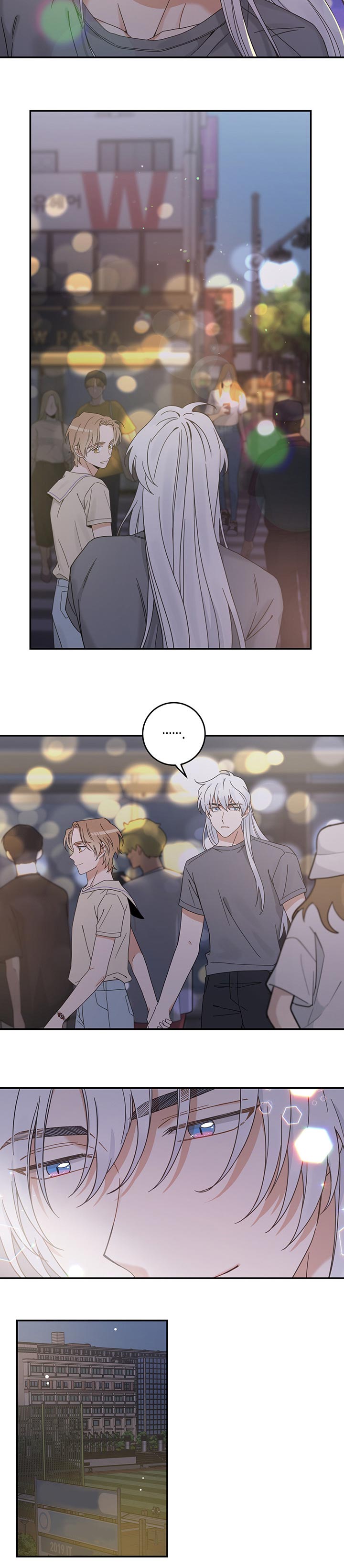 亲爱的喵君免费漫画在线漫画,第117章：我唯一的猫【完结】1图