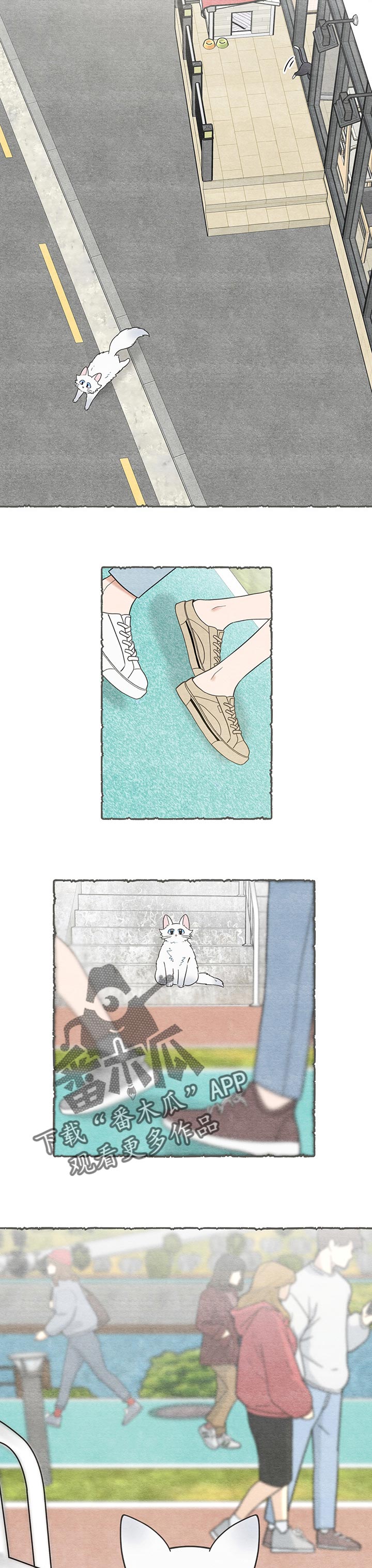 亲爱的喵君免费漫画在线漫画,第104章：失踪了1图