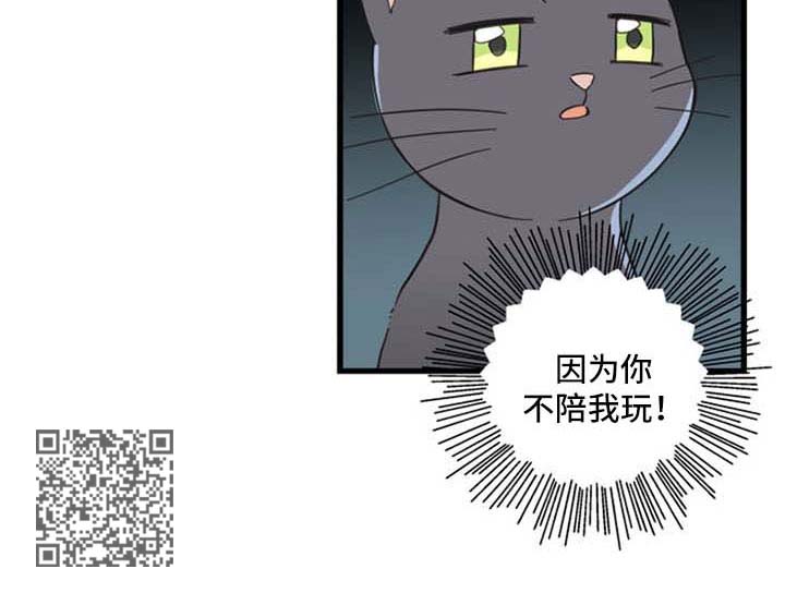 亲爱的喵君漫画,第94章：忧愁1图