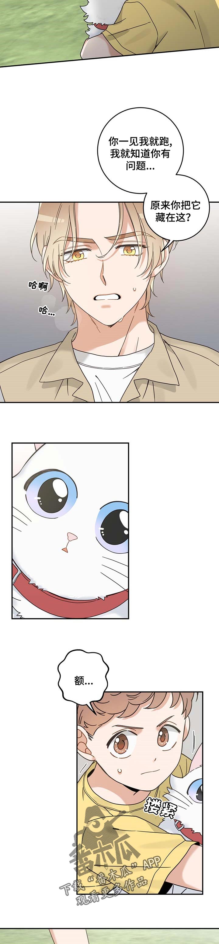 亲爱的喵君免费漫画在线漫画,第110章：找到了2图