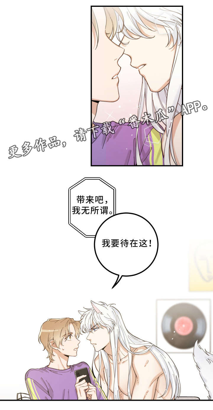 亲爱的喵君漫画,第4章：我要呆在这2图