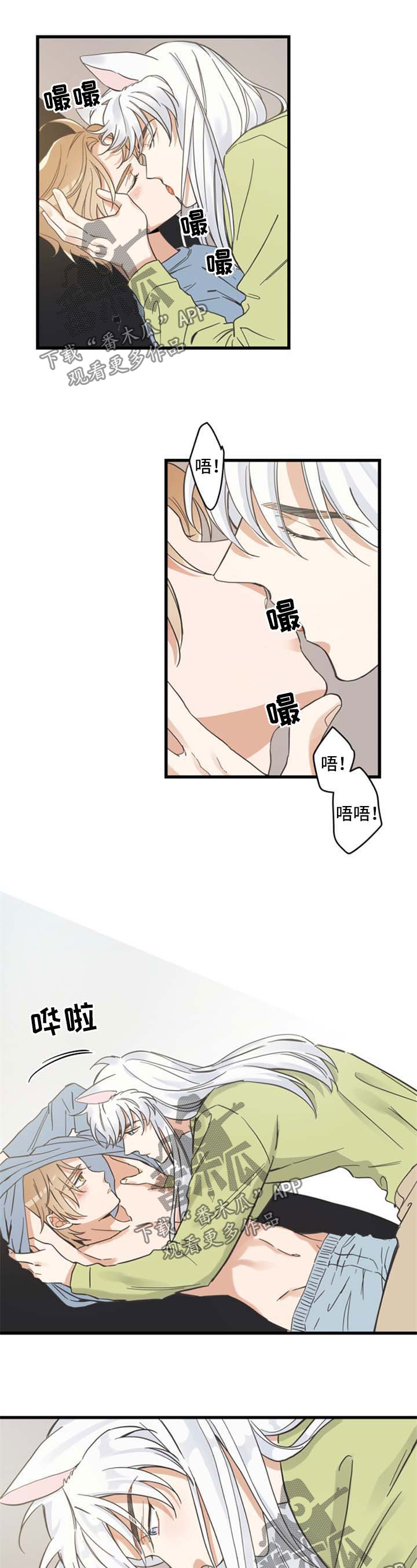 亲爱的喵君免费漫画在线漫画,第78章：做你想做的1图