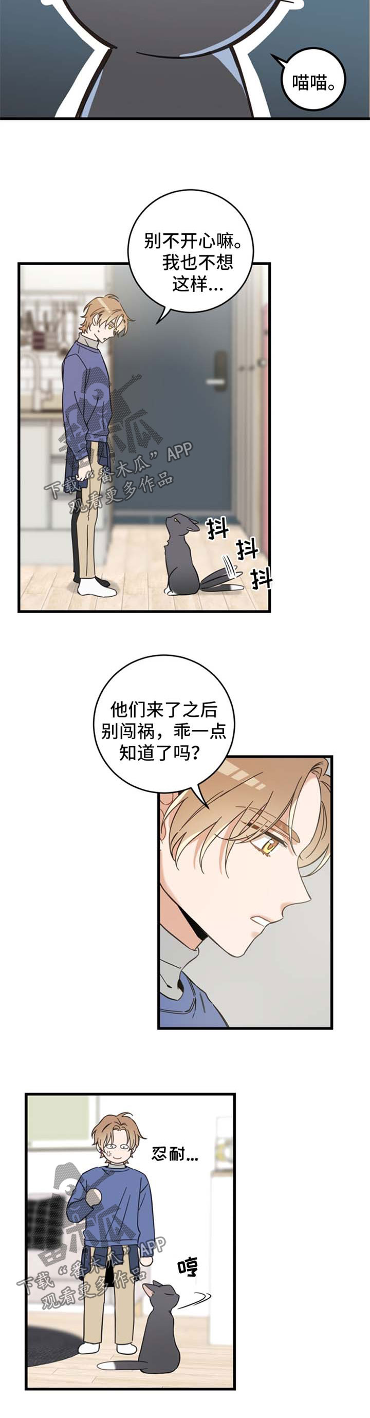 亲爱的喵君免费漫画在线漫画,第81章：做客2图
