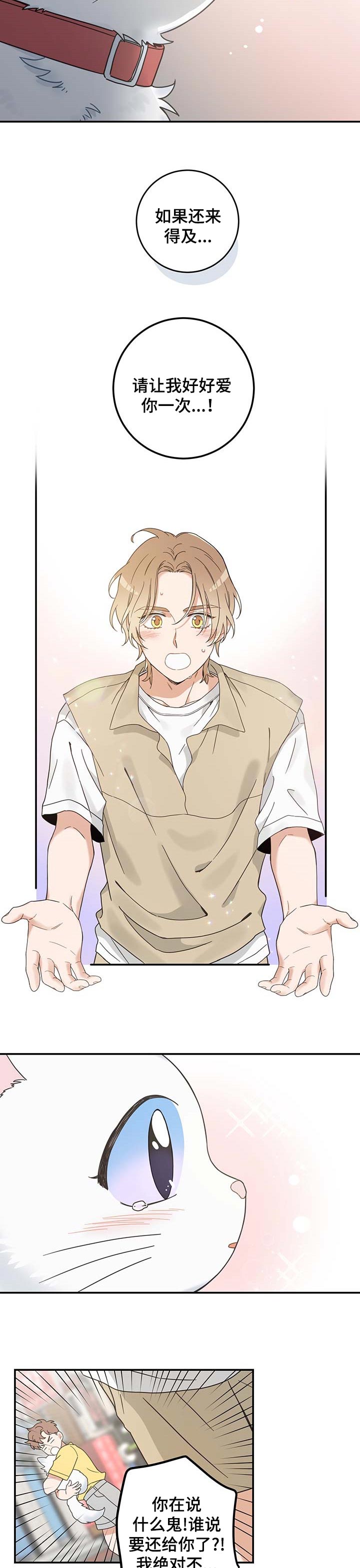 亲爱的喵君漫画,第111章：重逢1图