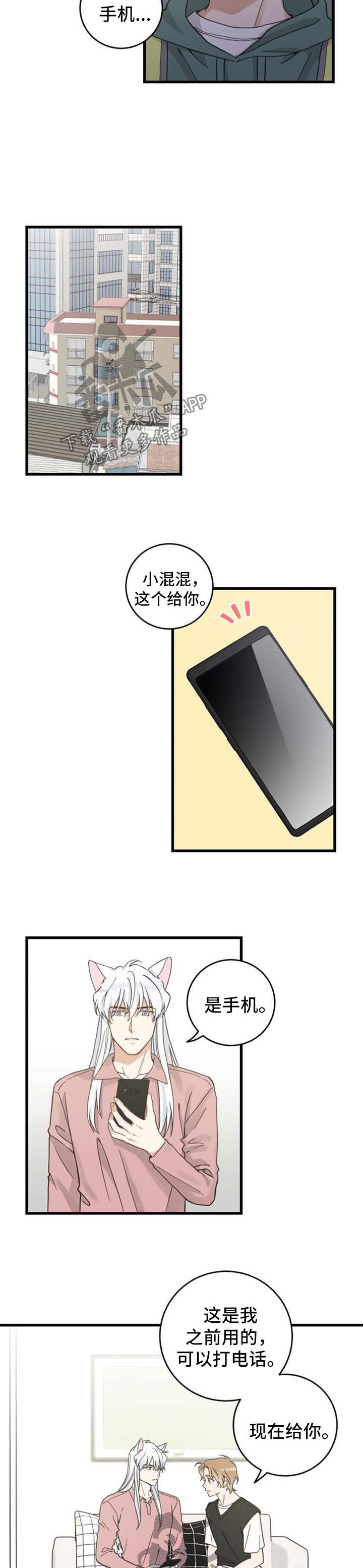 亲爱的喵君免费漫画在线漫画,第90章：像梦一样1图