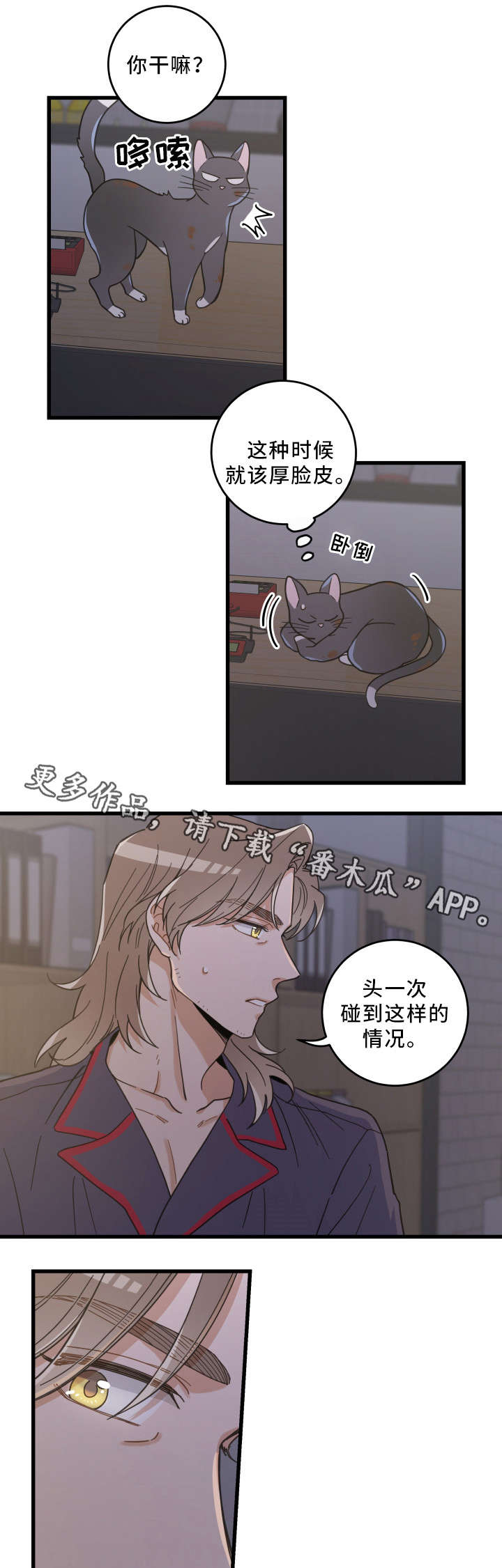亲爱的喵君免费漫画在线漫画,第35章：盯2图