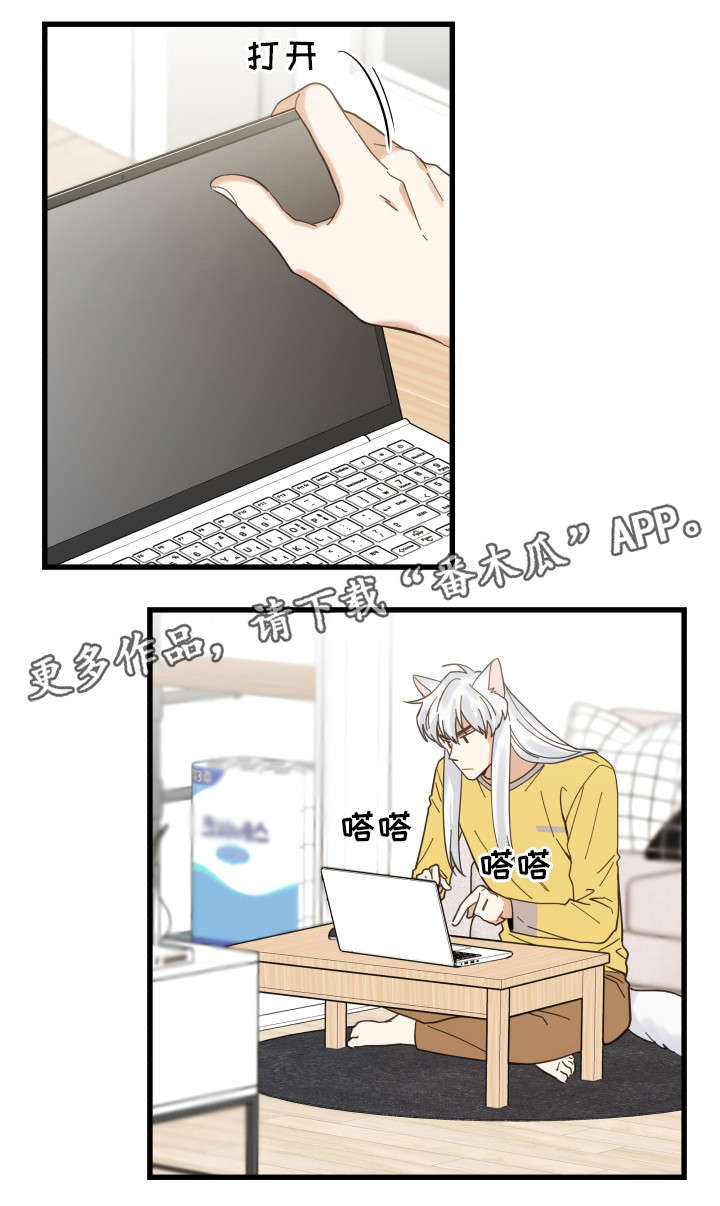 亲爱的喵君免费漫画在线漫画,第26章：准备礼物1图