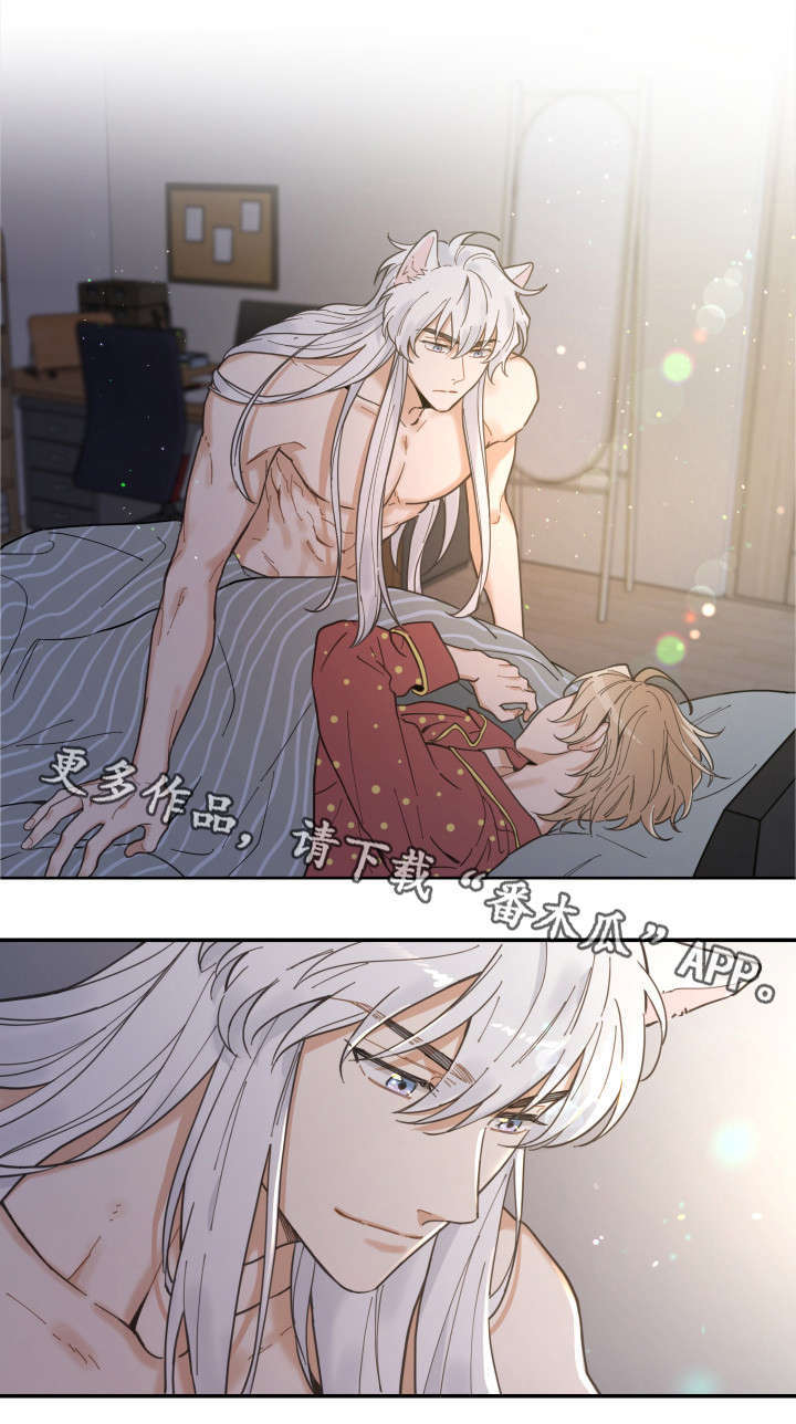 亲爱的喵君免费漫画在线漫画,第3章：梦1图