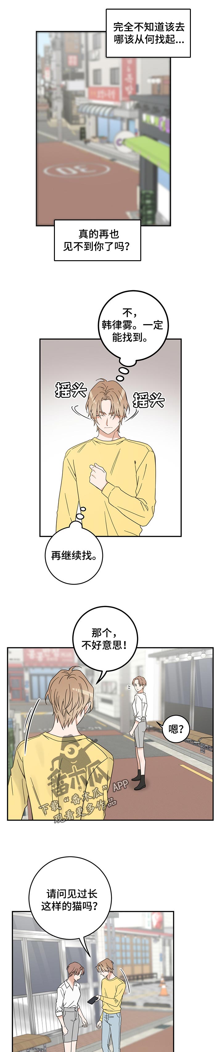 亲爱的喵君漫画,第106章：寻找2图