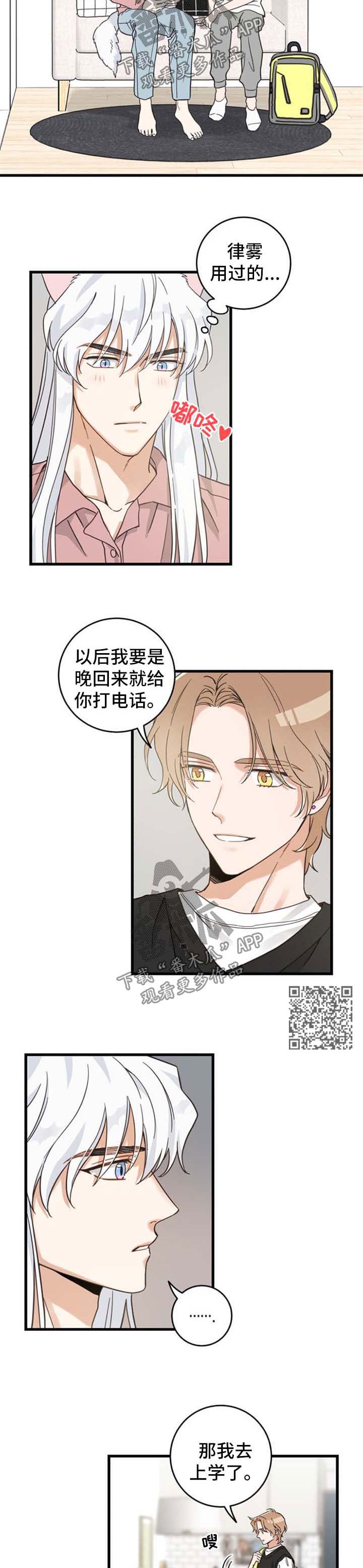 亲爱的喵君免费漫画在线漫画,第90章：像梦一样2图