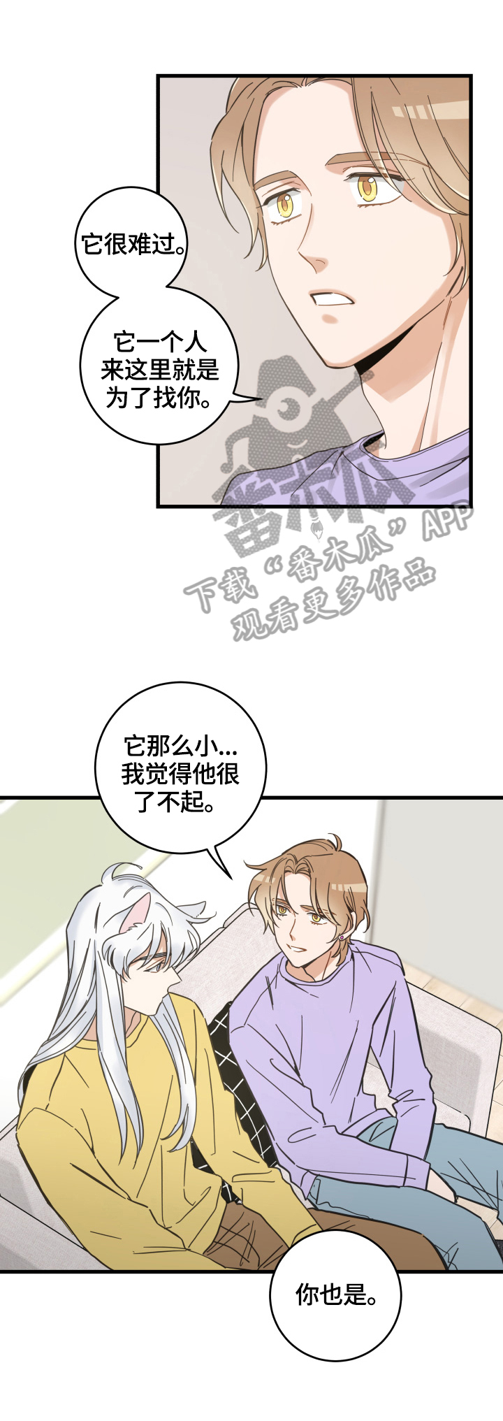 亲爱的喵君免费漫画在线漫画,第71章：原谅1图