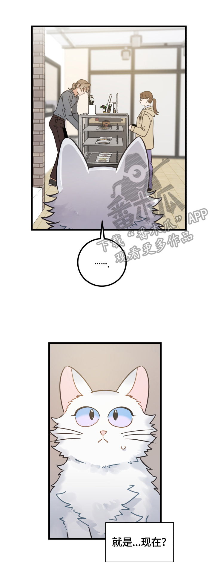 亲爱的喵君免费漫画在线漫画,第64章：逃走2图