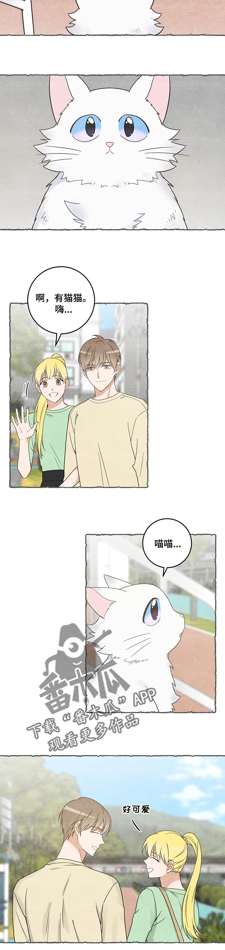 亲爱的喵君免费漫画在线漫画,第104章：失踪了2图