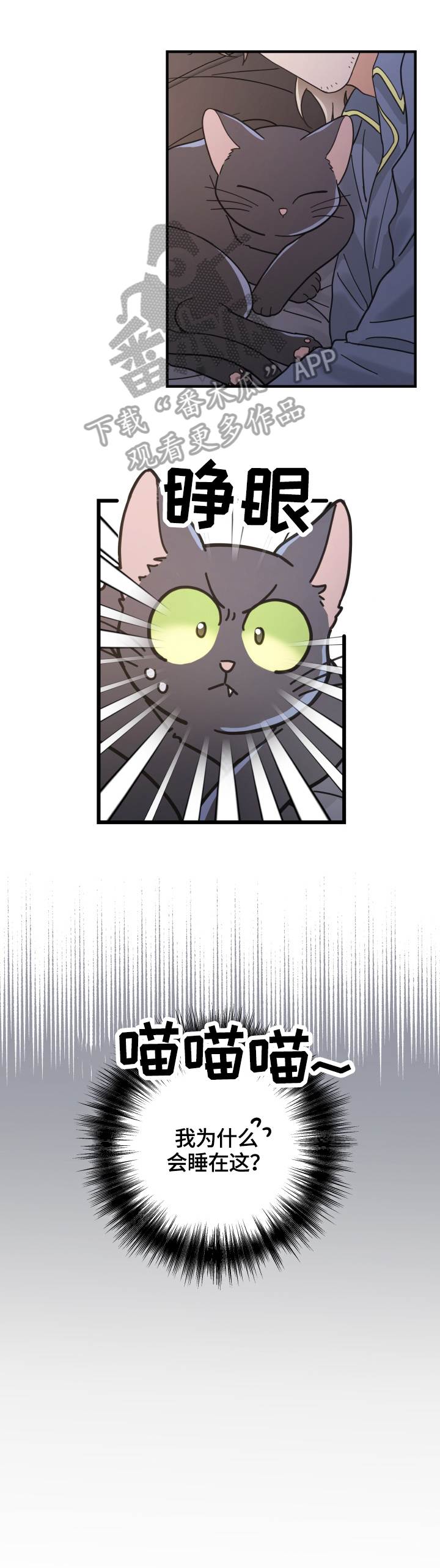 亲爱的喵君免费漫画在线漫画,第51章：睡醒1图