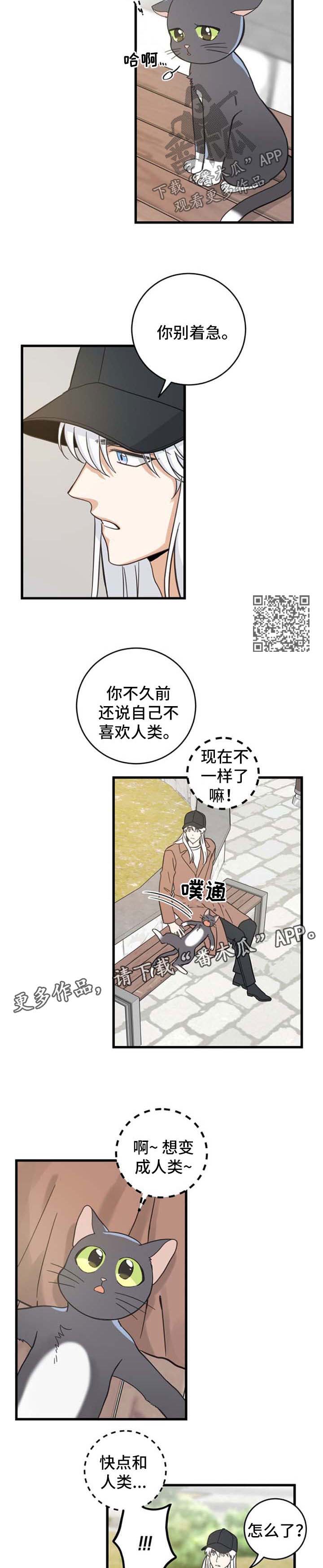 亲爱的喵君免费漫画在线漫画,第91章：偶遇1图