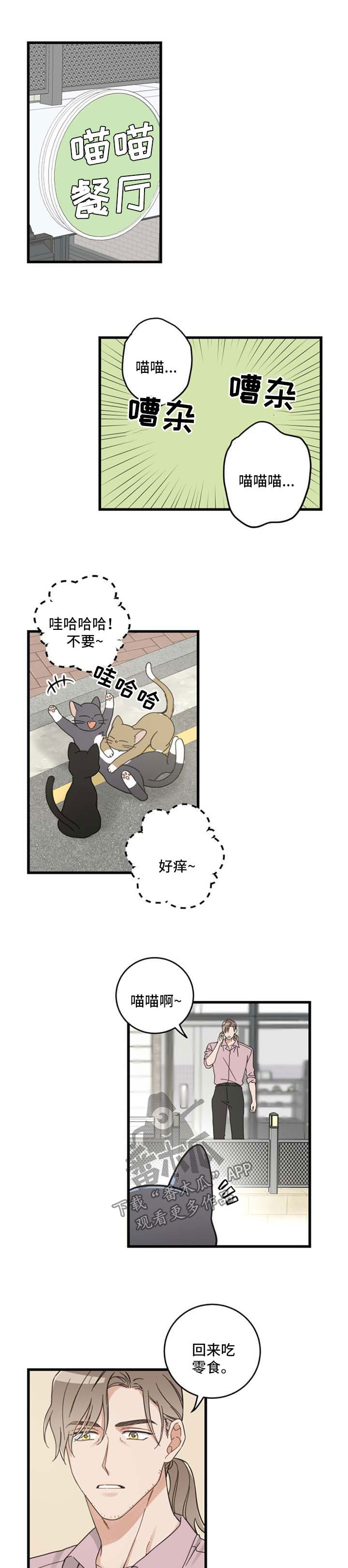 亲爱的喵君漫画,第94章：忧愁1图