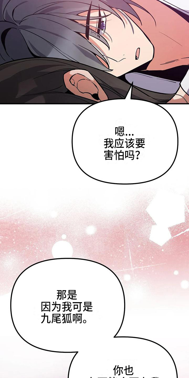 狐仙动漫漫画,第13章：夜空1图