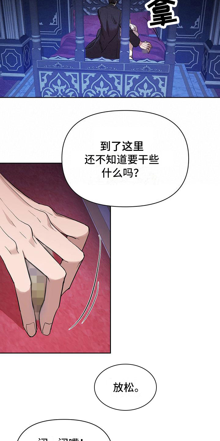 帝国皇妃不好当漫画免费阅读漫画,第7章：试探2图